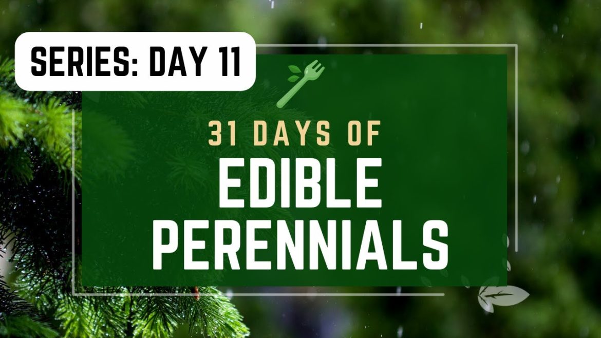 | DAY 11 ! 31 Edible Perennials