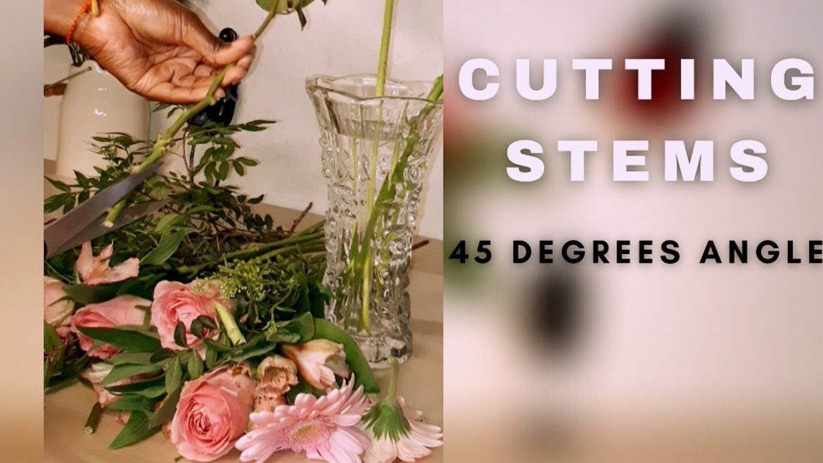 Gardening Tips: Cutting stems at an angle to last longer in a vase Gardening Tips: Cutting stems at an angle to last longer in a vase