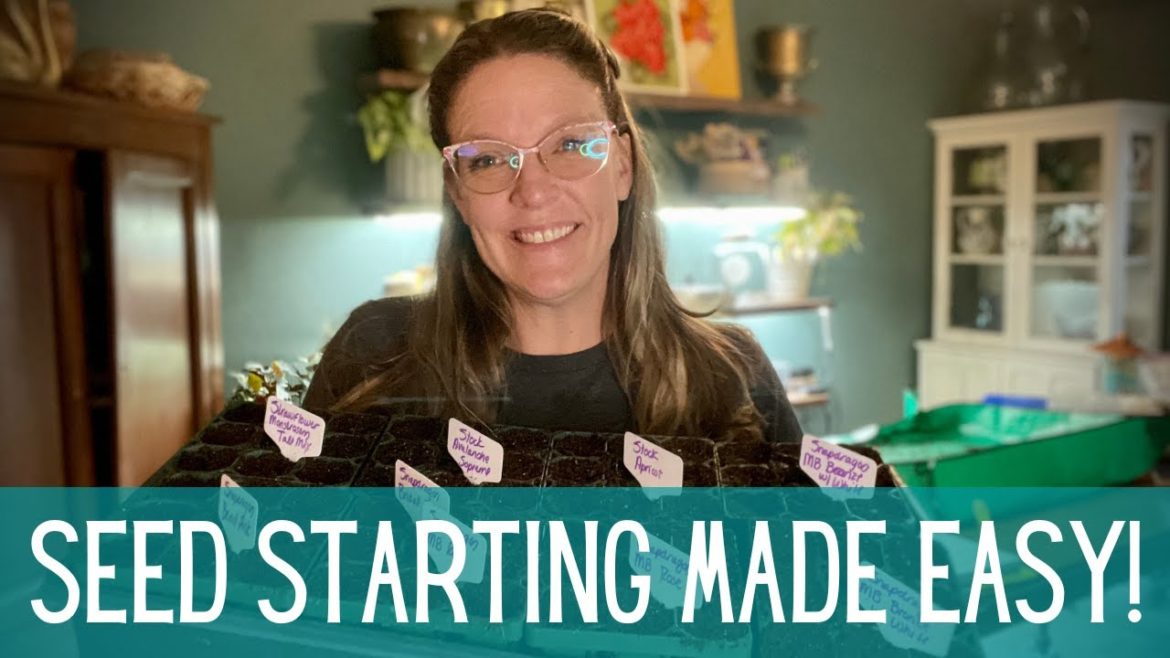 2023 Seed Starting Made EASY! || Starting Seeds Inside || How To Save Time & $$$ On Seed Starting 2023 Seed Starting Made EASY! || Starting Seeds Inside || How To Save Time & $$$ On Seed Starting