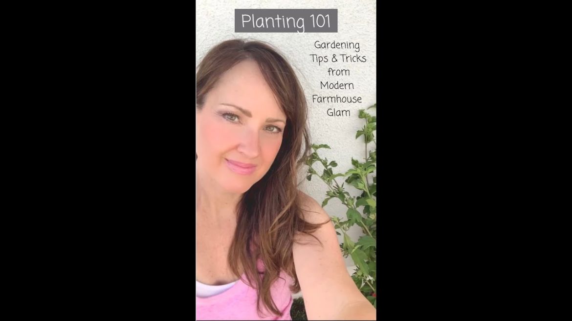 Planting 101 with Modern Farmhouse Glam, Gardening Tips & Tricks! Planting 101 with Modern Farmhouse Glam, Gardening Tips & Tricks!