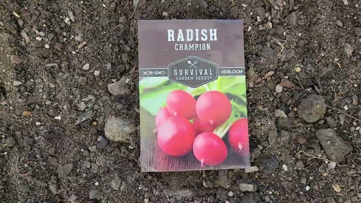 Planting in January??? What Plants will Grow NOW?