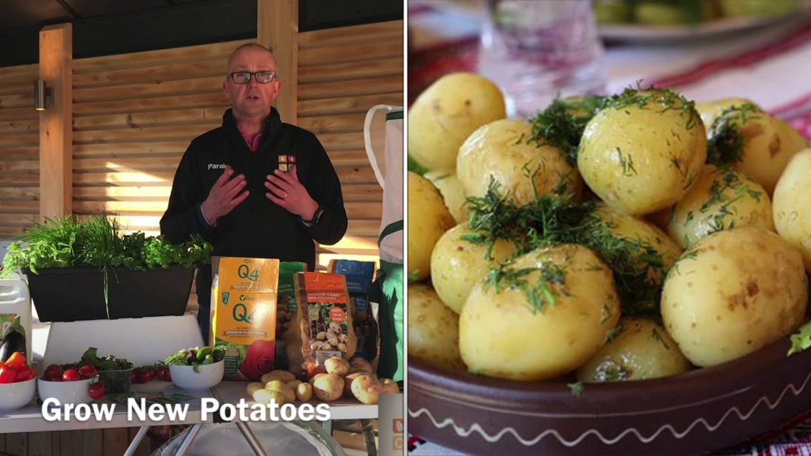 January Gardening Tips! January Gardening Tips!