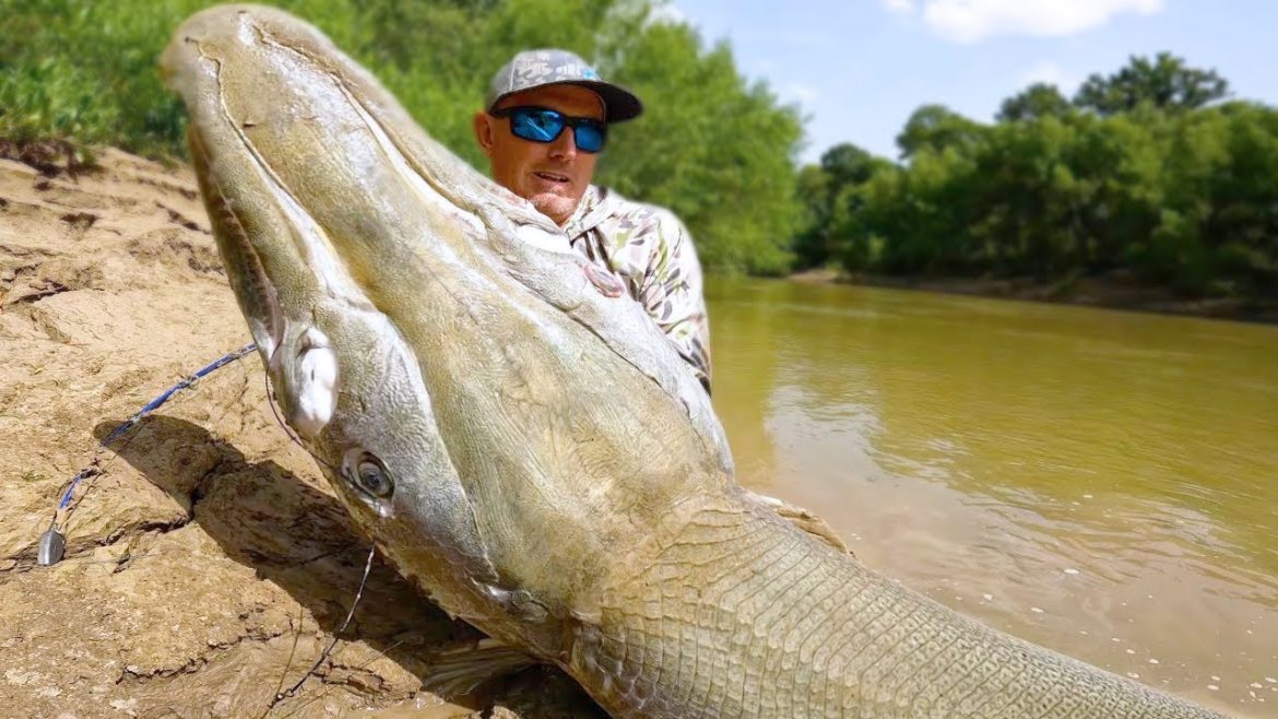 This Is Why You Should Never Be Alone In the Swamp