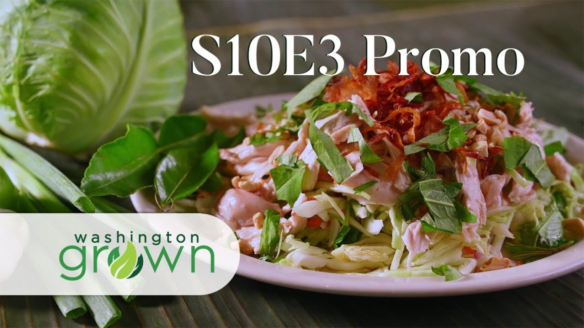 It Begins With A Seed | Promo | Washington Grown