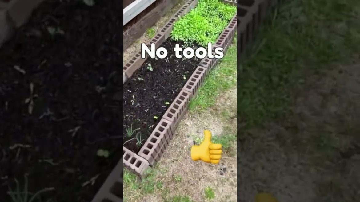 Gardening tips - Zero cost garden bed DIY || No tools #shorts #youtubeshorts