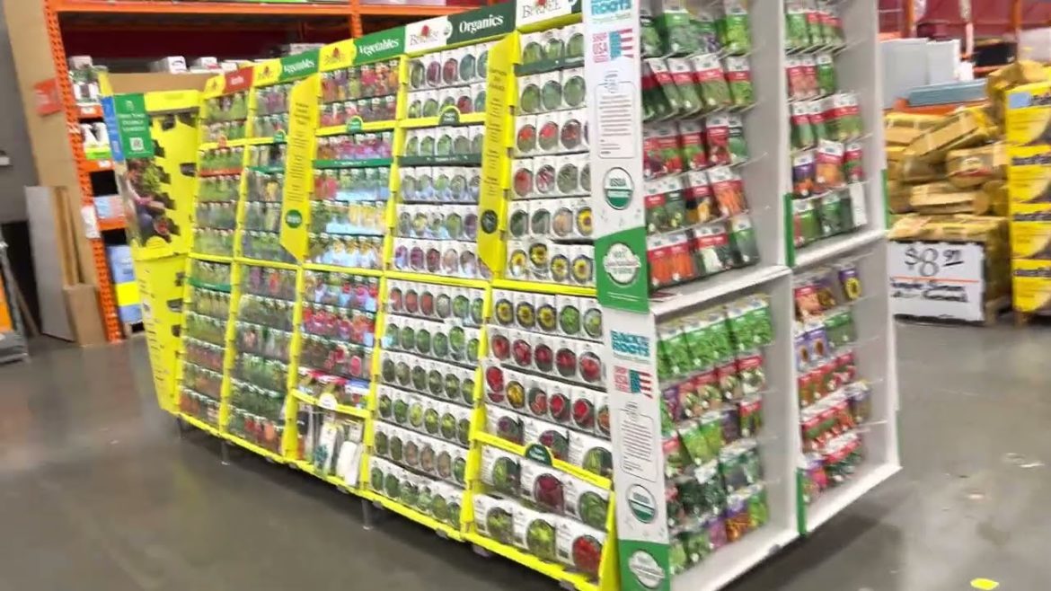 Check our Home Depot selection of vegetables and flower seeds 2023