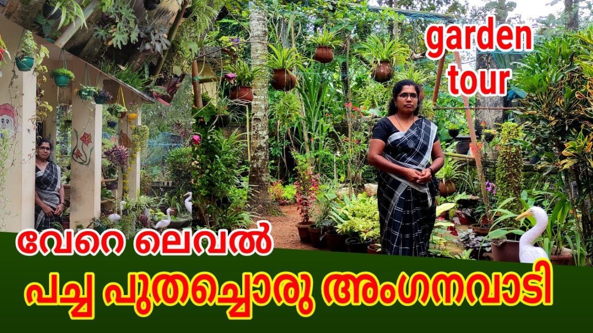 garden tour, gardening, beautiful garden @ an anganavadi,home garden, garden tips, diy, garden