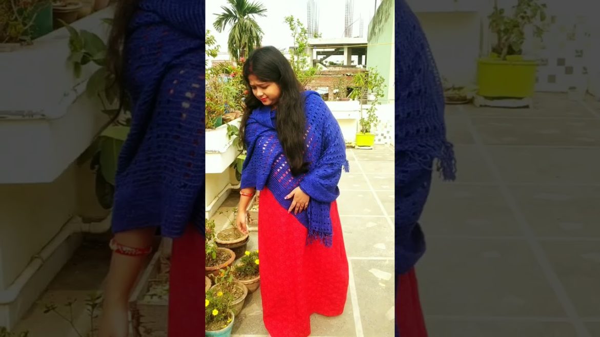 #shorts মামা বাড়ি নাকি সুইজারল্যান্ড বুঝতেই পারছি না 😳 #minivlog #dailyvlog