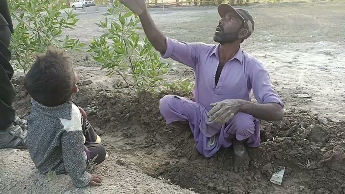 Gardening Tips & Discuss Sunday activities 7.1.23 बागवानी युक्तियाँ और रविवार की गतिविधियों पर चर्चा