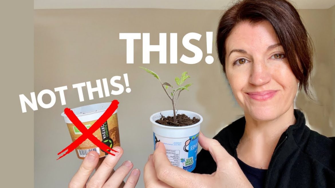 STARTING SEEDS INDOORS & What Works EVERY Time! STARTING SEEDS INDOORS & What Works EVERY Time!