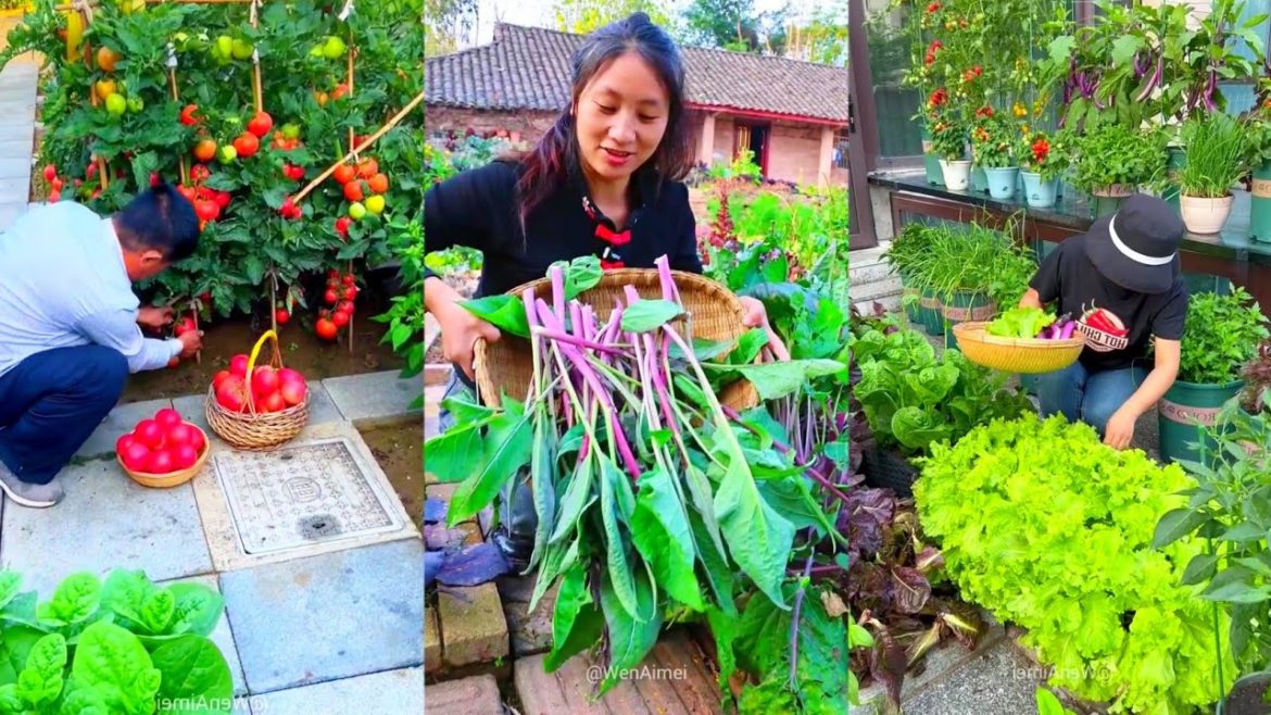 Beautiful Nature with Rural Life | Stunning Vegetable Gardens With Relaxing Music