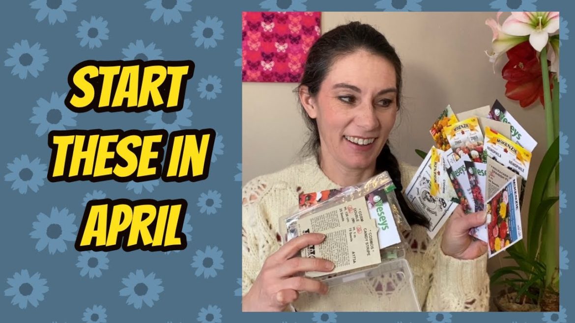 Flowers to Sow in April 3-6 weeks before average last frost