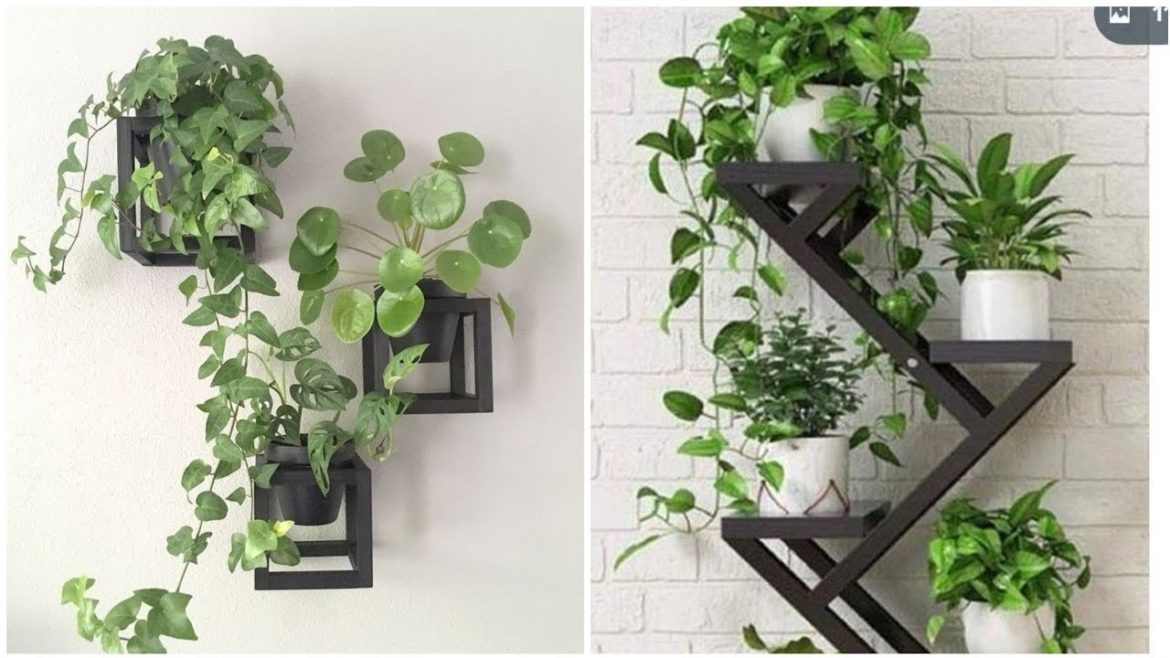 Top 50 Modern indoor plants decorate ideas 2023//indoor Garden Decor