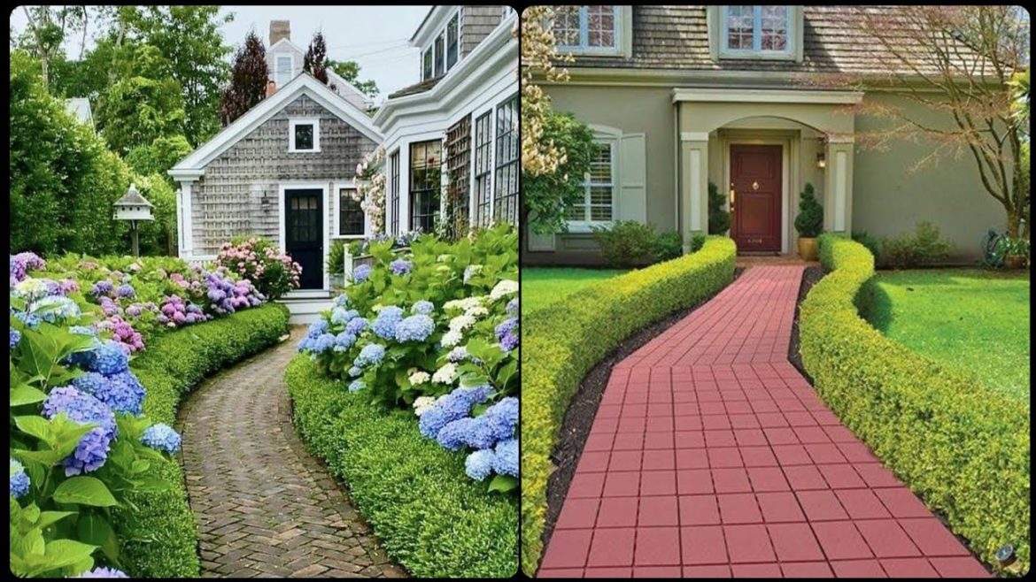 AMAZING AND AWESOME BOXWOOD FRONT IN HOUSE DESIGN FOR GARDEN