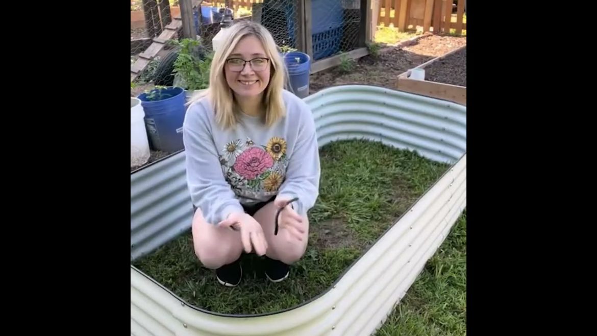 Our galvanized steel raised garden beds are made from high density, light weight aluminum zinc alloy