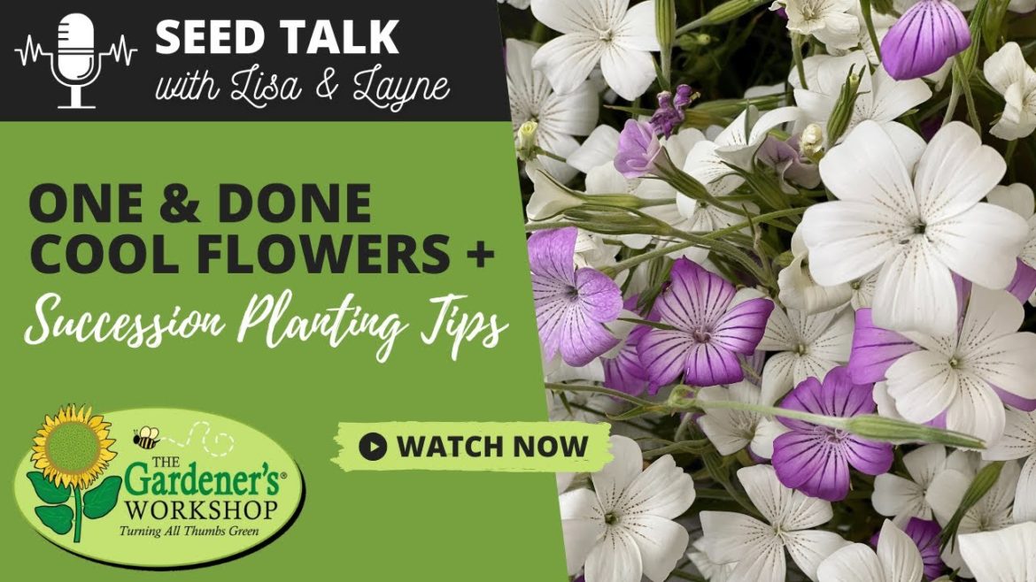#19 - One & Done Cool Flowers Plus Succession Planting Tips