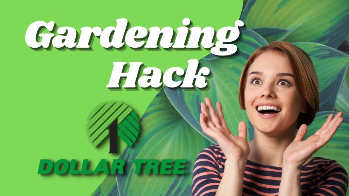 Dollar Tree Garden Hack #trending #gardening #urbangardening