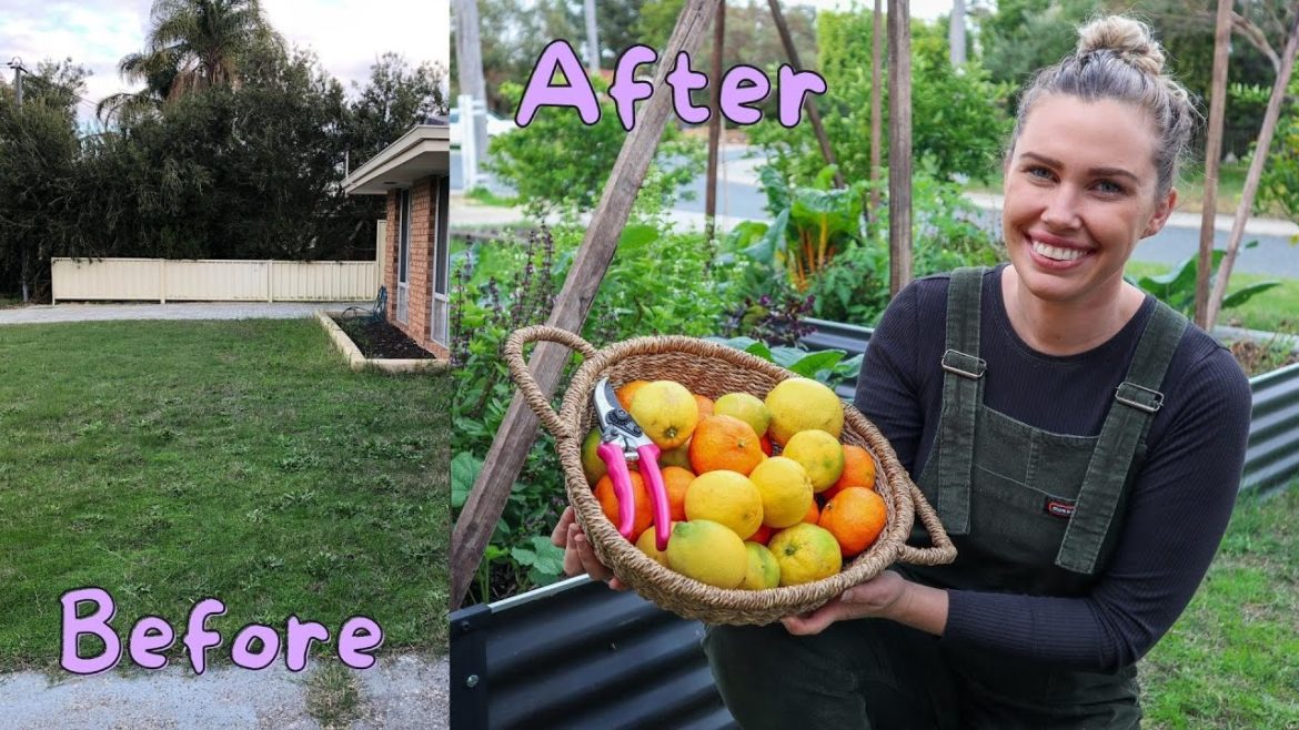 From Grass to Productive Edible Gardens // How much did it cost for my Raised Garden Beds?