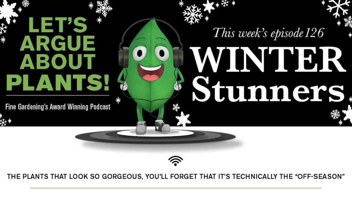 Episode 126: Plants that are Winter Stunners for the Garden