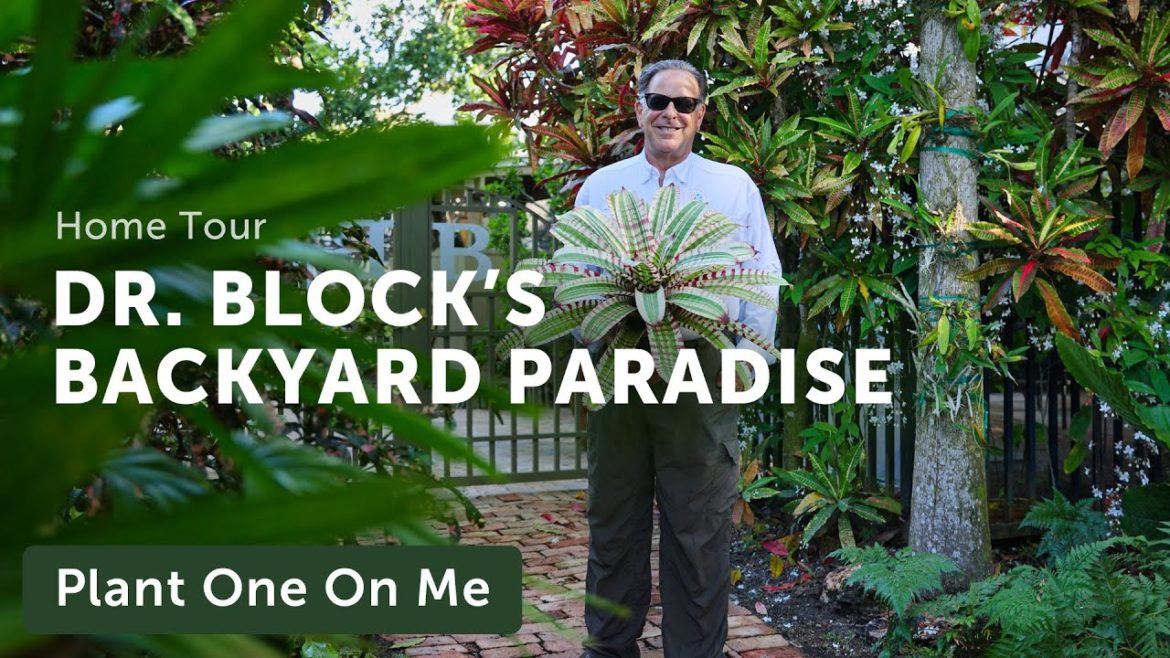 Doc Block's TROPICAL BACKYARD Paradise Tour — Ep. 301