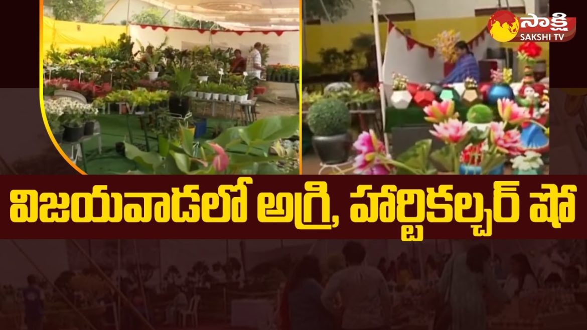 Agri, Horticulture Show At Vijayawada | Siddhartha Hotel Management College | Sakshi TV Agri, Horticulture Show At Vijayawada | Siddhartha Hotel Management College | Sakshi TV