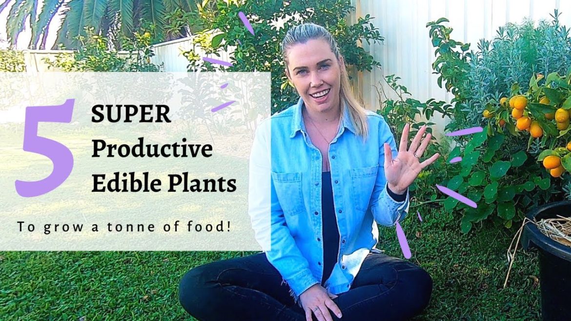 5 SUPER Productive Edible Plants to Grow in a Small Space // Urban Permaculture Garden