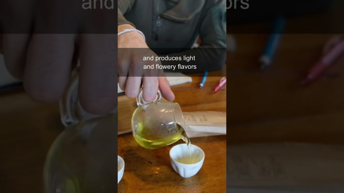 Making oolong tea #shorts