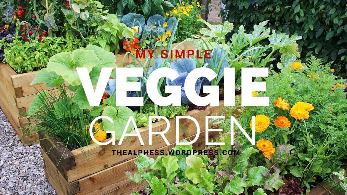 My Simple Backyard Garden | HD