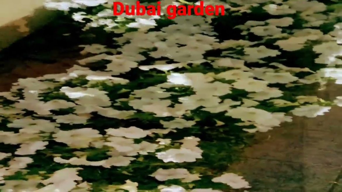 #shorts #dubai garden ๐น๐น๐น๐น ๐ฆ๐ช๐ฎ๐ณ #shorts #dubai garden ๐น๐น๐น๐น ๐ฆ๐ช๐ฎ๐ณ