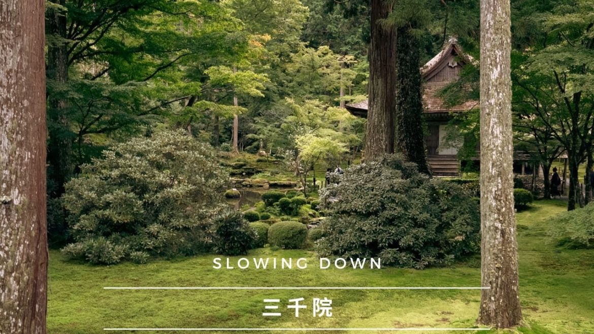 Sanzenin Temple and Japanese Garden in Kyoto | Ohara – 三千院 | A Lesson in Patience and Slowing Down Sanzenin Temple and Japanese Garden in Kyoto | Ohara - 三千院 | A Lesson in Patience and Slowing Down