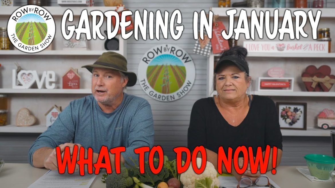 What You Should Be Doing This January In The Garden What You Should Be Doing This January In The Garden