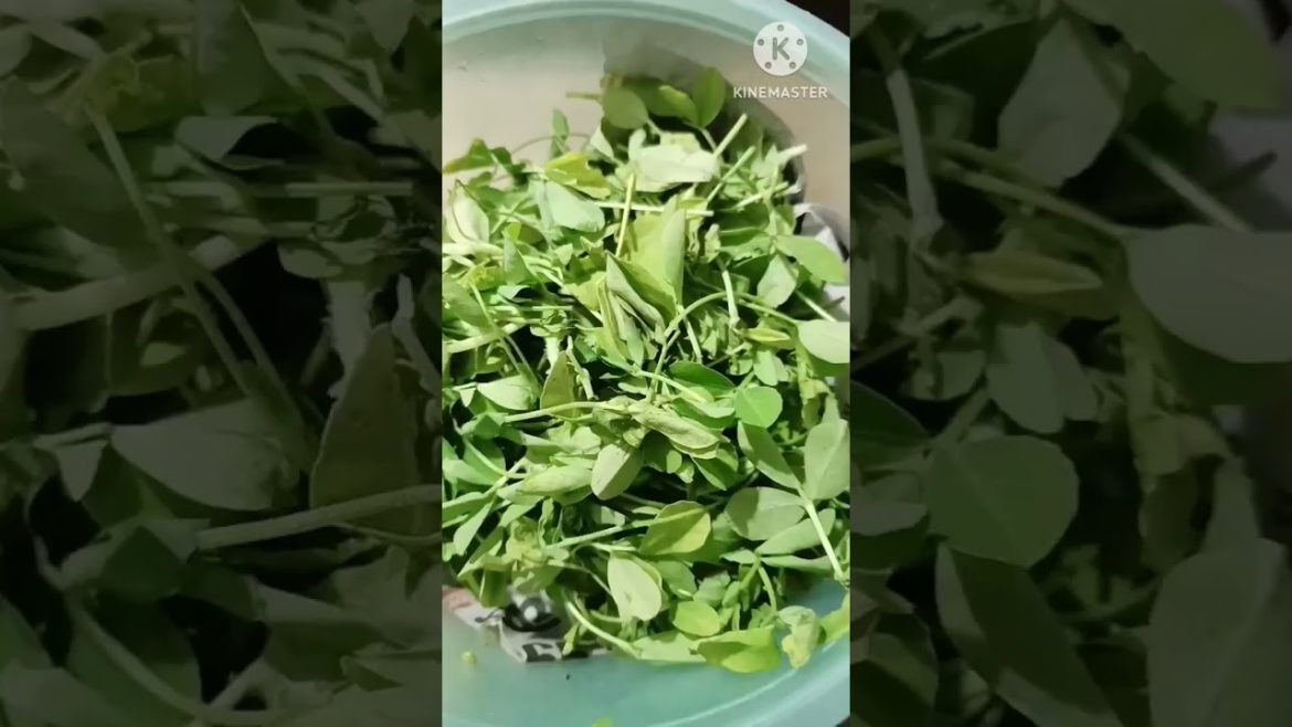 Storage Hacks 👌||Store vegetable at home easily ||store methi leaves#shorts #hacks #youtubeshorts