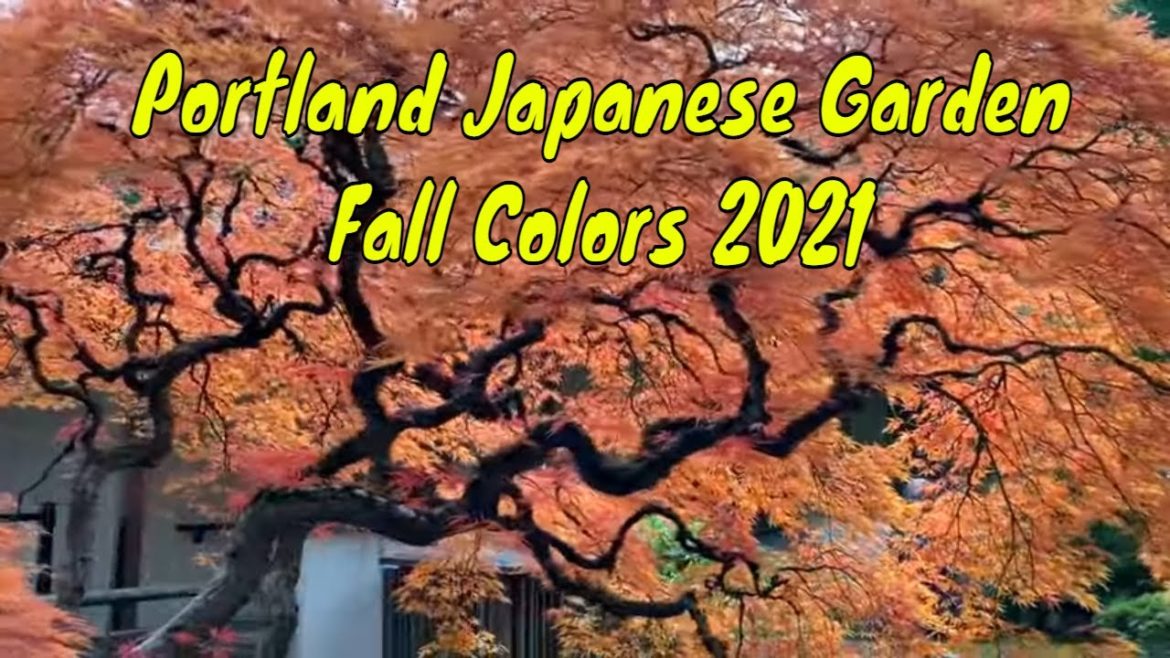 Fall Colors at the Portland Japanese Garden