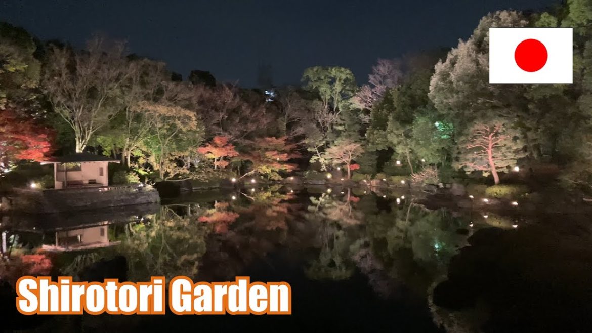 【Japanese Garden in Nagoya】The illumination of autumn leaves in Shirotori Garden