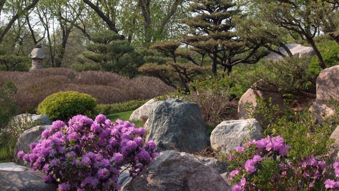 Rock/ Stone Garden Landscape Design Ideas, Front Yard & Back Yard renovation inspiration Rock/ Stone Garden Landscape Design Ideas, Front Yard & Back Yard renovation inspiration