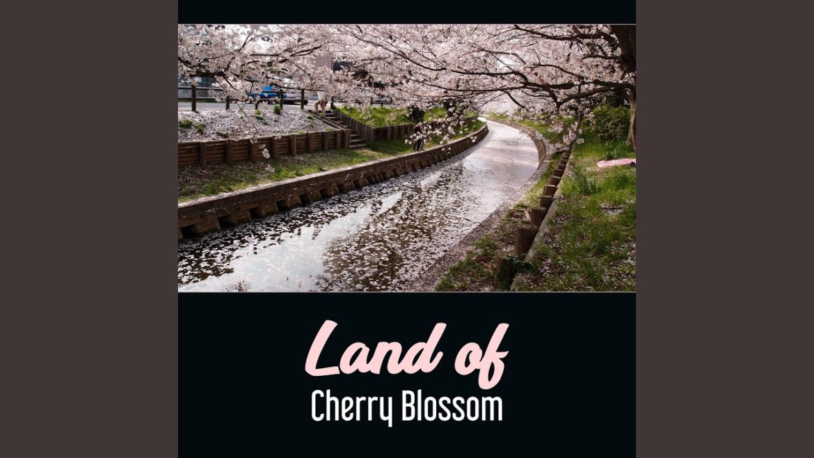 Zen Landscape Zen Landscape