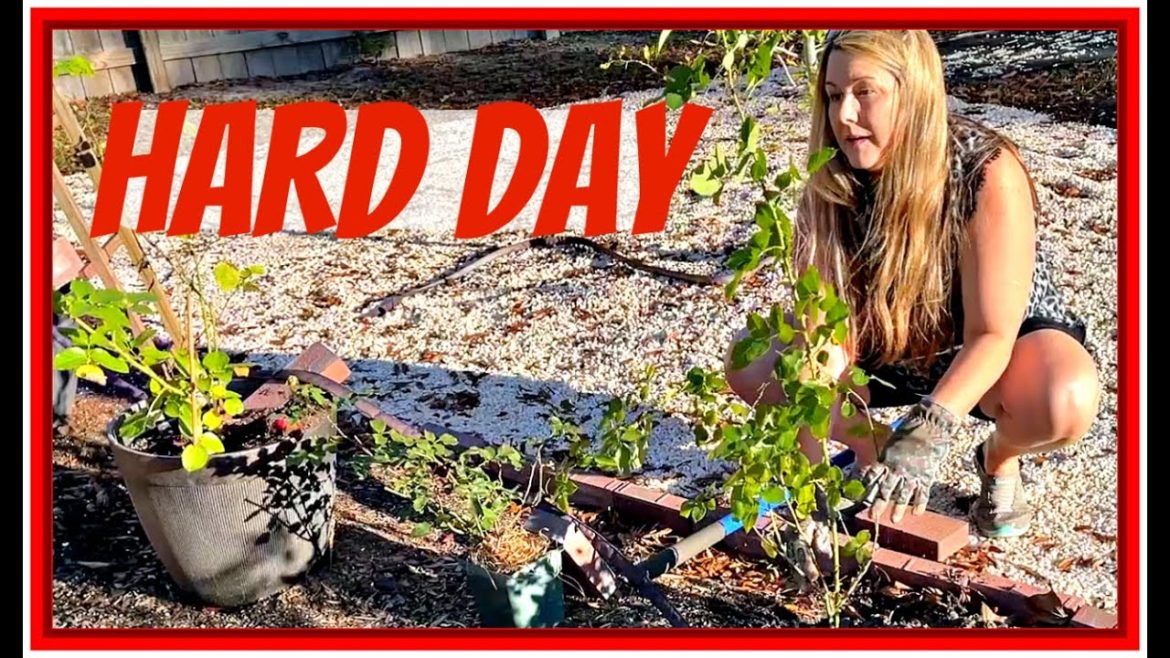 come alongside me IF YOU DARE! January 2023 southern garden