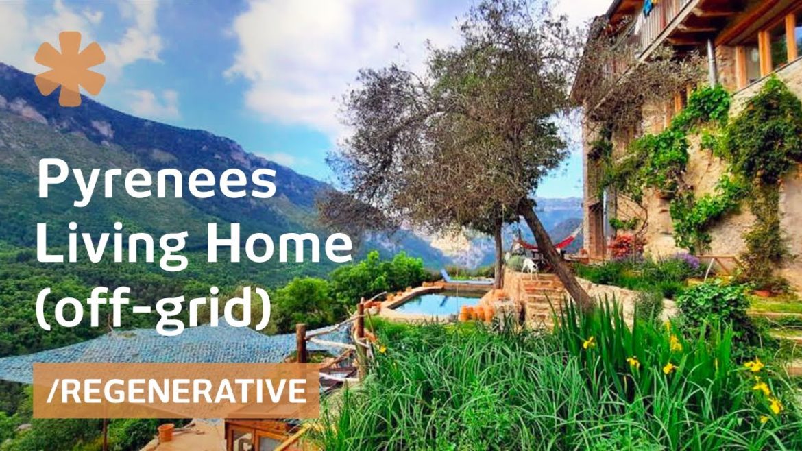 Turns derelict mountaintop home into Net-Positive dream homestead