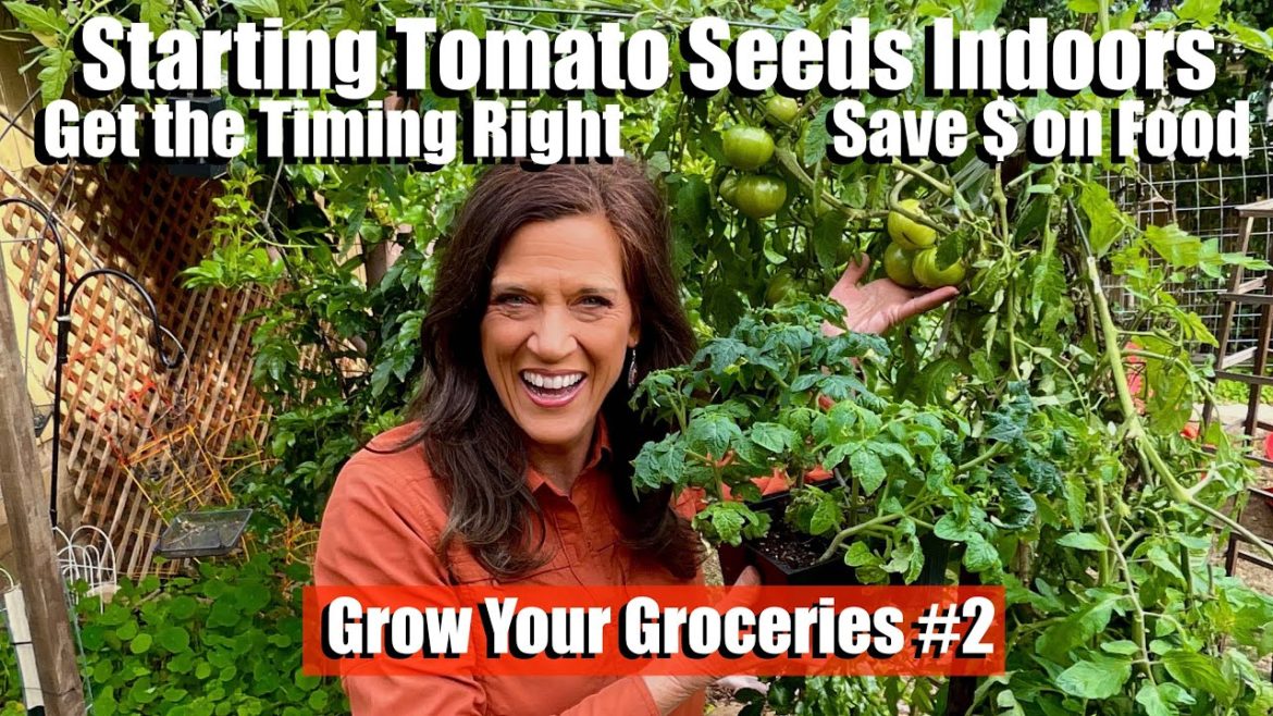How & When to Start Tomato Seeds Indoors - Save $ on Food / Grow Your Groceries with CaliKim #2