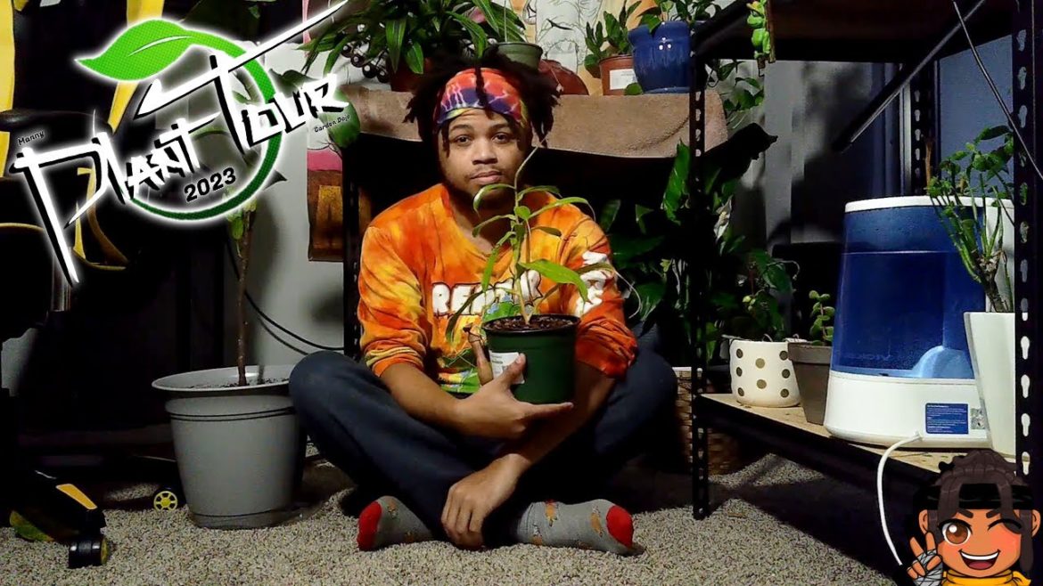 Plant Tour 2023✨ | All my Plants [I WANT MORE] 🌱