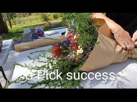 Making flower bouquets at our U Pick event. #nursery #backyard #garden #flowers #pretty Making flower bouquets at our U Pick event. #nursery #backyard #garden #flowers #pretty
