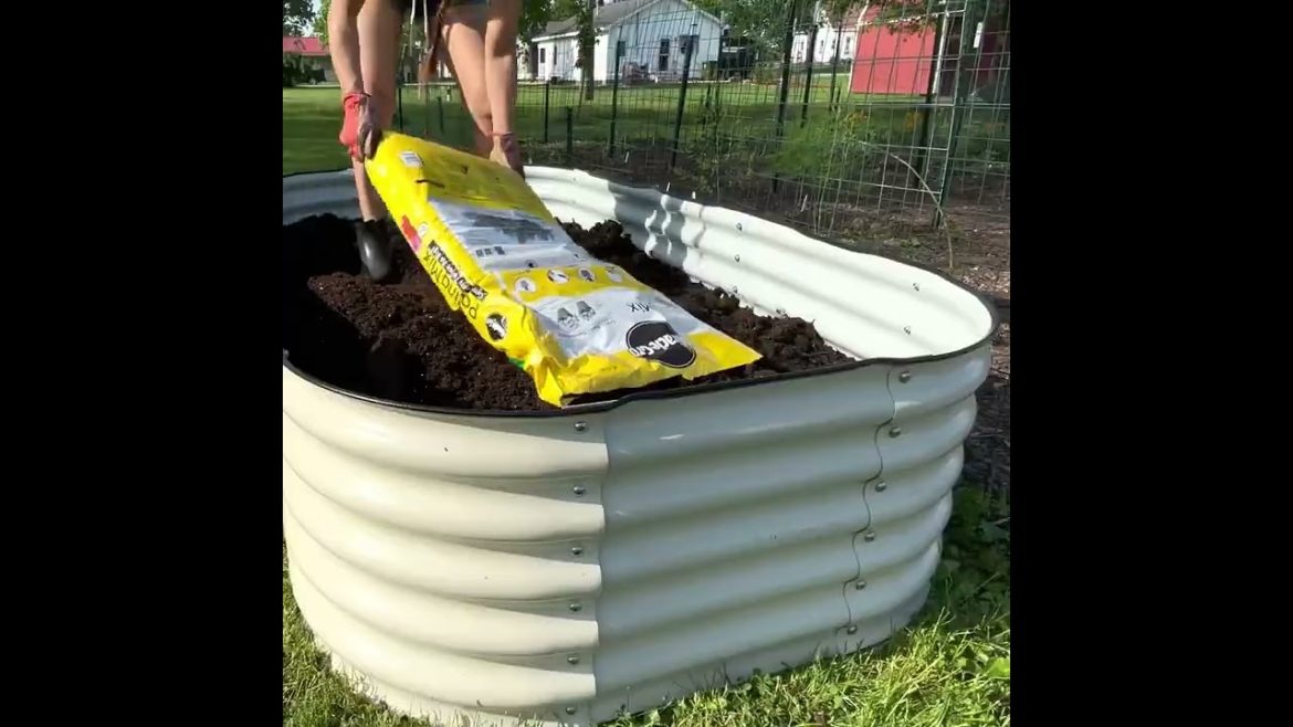 Whether you’re an avid gardener or just want to add a touch of greenery to your home