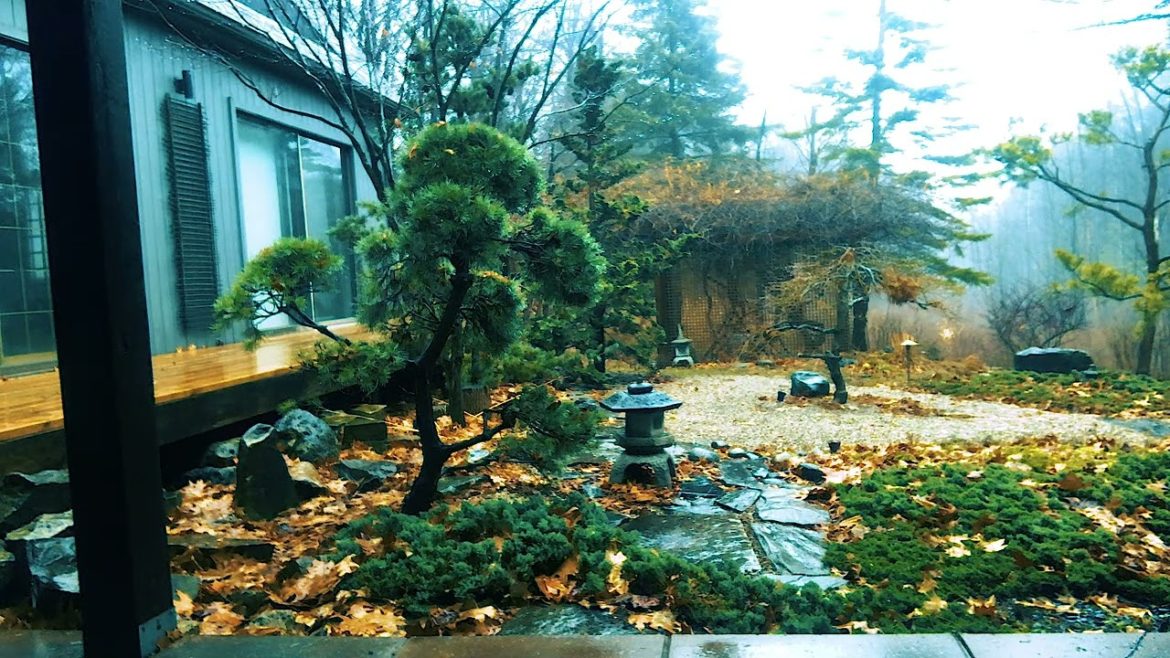 Listen to the SOUND of RAIN in a Japanese Zen Garden during the DAY! 2 hours sleep study, relaxation