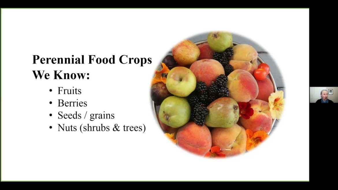 Virtual Gardening Series: Perennial Food Crops & Edible Ornamentals - In partnership with VIMGA