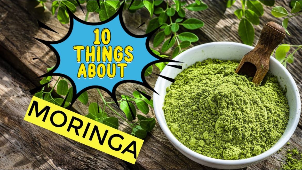 10 things About Moringa