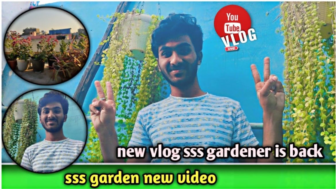 sss gardener new and new vlog sss gardener is back #newvideo #vlogs #tranding #newvlog