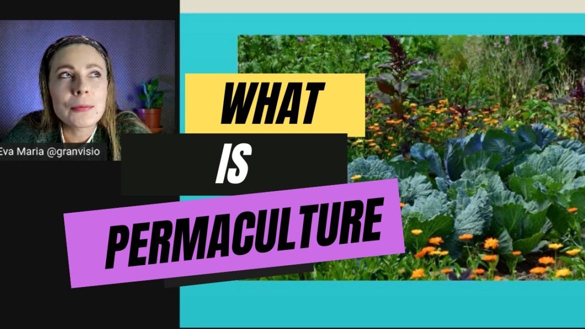 Webinar: What is Permaculture? (A Beginner's Guide) Webinar: What is Permaculture? (A Beginner's Guide)