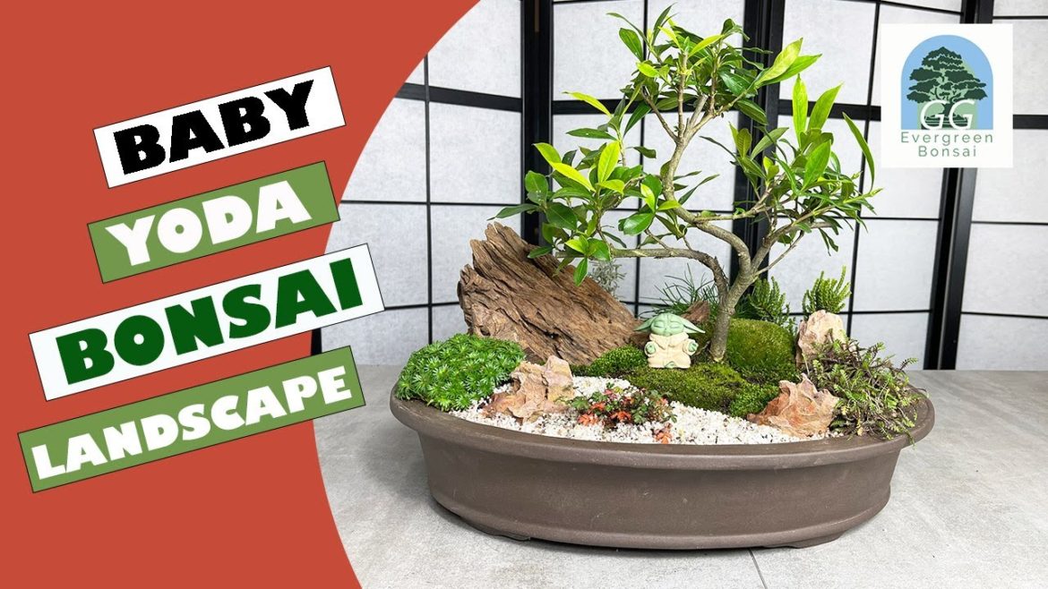 Bonsai garden with Jasmine bonsai and alpine plants tutorial #Creative Bonsai Landscape Challenge