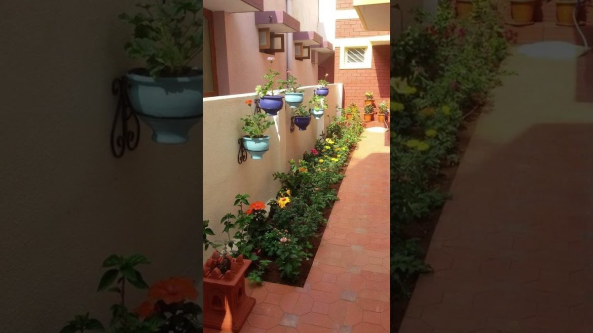 Modern Indoor Garden 2023 #shorts #viral #indoor #garden