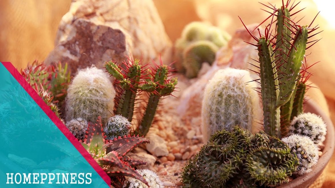 (MUST SEE) 25+ Tempting Succulent Garden Design Ideas 2017